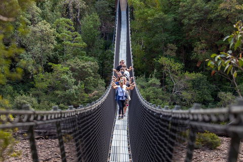 Tahune Airwalk Active Day Trip From Hobart Including Hastings Caves - Accommodation Tasmania 3