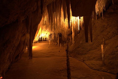 Tahune Airwalk Active Day Trip From Hobart Including Hastings Caves - Accommodation Tasmania 4