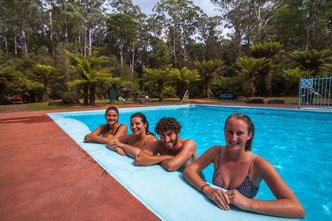 Tahune Airwalk Active Day Trip From Hobart Including Hastings Caves - Accommodation Tasmania 5