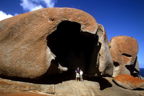 Full-Day Kangaroo Island Safari From Penneshaw - Accommodation Tasmania 0
