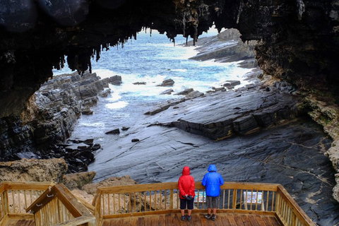 Full-Day Kangaroo Island Safari From Penneshaw - Accommodation Tasmania 1