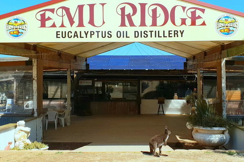 Full-Day Kangaroo Island Safari From Penneshaw - Accommodation Tasmania 2