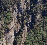 Leven Canyon Day Trip Including Wings Wildlife Park or Gunns Plains Caves - Accommodation Tasmania