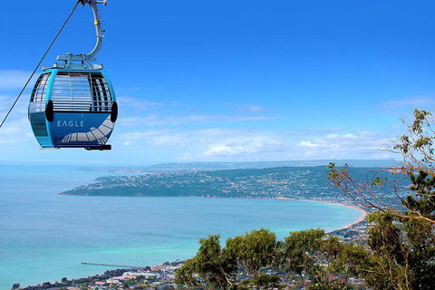 Peninsula Hot Springs Tour With Restaurant Lunch & Gondola Ride - Accommodation Tasmania 1