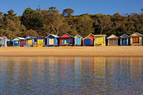 Mornington Peninsula Small Group Day Tour - Accommodation Tasmania 0