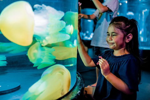 SEA LIFE Sydney Aquarium Entrance Ticket - Accommodation Tasmania 5
