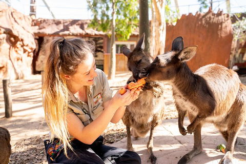 WILD LIFE Sydney Entrance Ticket - Accommodation Tasmania 5