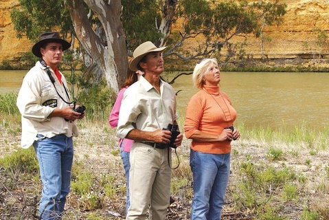 4-Night Murray River Cruise By Classic Paddle Wheeler PS Murray Princess - Accommodation Tasmania 2