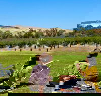 Private Picnic and Wine Tasting Experience in Barossa Valley - Accommodation Tasmania
