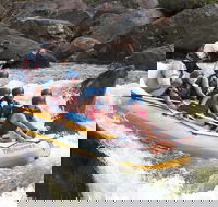 Barron River Half-Day White Water Rafting from Cairns - Accommodation Tasmania