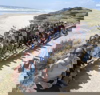 3 Day Tasmanian Wild West Coast Tour from Hobart to Launceston - Accommodation Tasmania