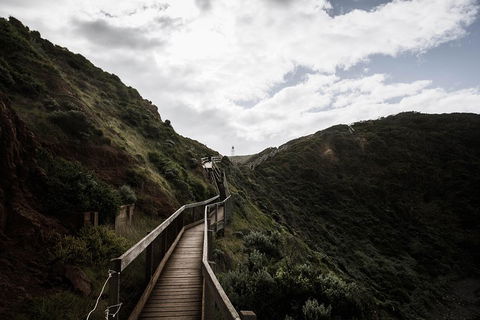 Small Group: Mornington Peninsula Hike And Hot Springs Day Tour From Melbourne - Accommodation Tasmania 1