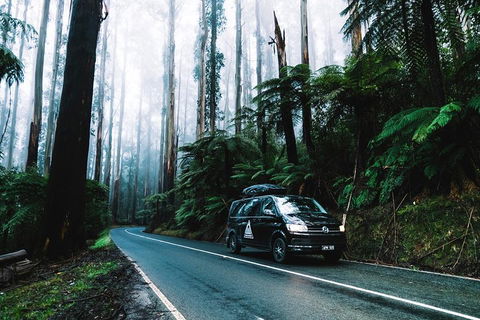 Small Group: Mornington Peninsula Hike And Hot Springs Day Tour From Melbourne - Accommodation Tasmania 3
