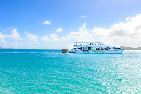 Whitehaven Beach And Daydream Island Cruise - Accommodation Tasmania 2