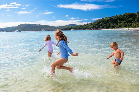 Whitehaven Beach And Daydream Island Cruise - Accommodation Tasmania 3