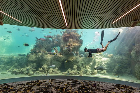 Whitehaven Beach And Daydream Island Cruise - Accommodation Tasmania 4