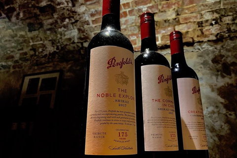 The Ultimate Penfolds Magill Estate Wine & Underground Cellar Tour - Accommodation Tasmania 5