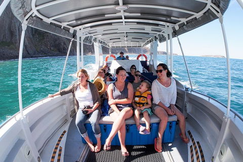 Seal Island Boat Tour From Victor Harbor - Accommodation Tasmania 1