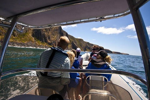 Seal Island Boat Tour From Victor Harbor - Accommodation Tasmania 2