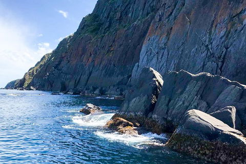 Southern Ocean Adventure From Victor Harbor - Accommodation Tasmania 3