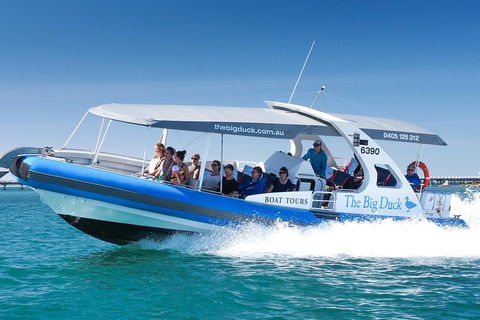 Southern Ocean Adventure From Victor Harbor - Accommodation Tasmania 5