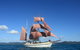 Sydney Harbour Tall Ship Whale & Sail - Whale Watching Cruise - thumb 1