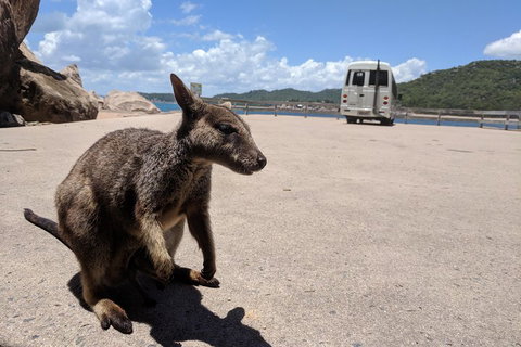 Magnetic Island Tour: Maggie Comprehensive - Accommodation Tasmania 0
