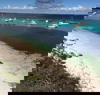 Experience Rottnest with Ferry  Bike Hire from Perth or Fremantle - Accommodation Tasmania