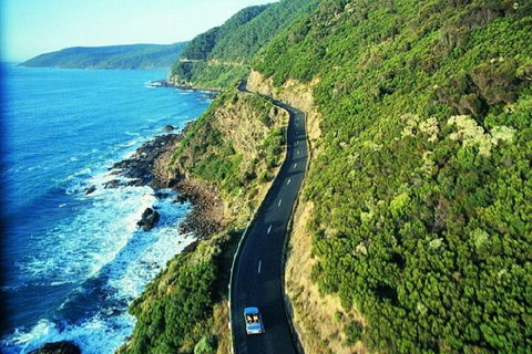 Melbourne Super Saver: Great Ocean Road + Mornington Peninsula + Attraction Pass - Accommodation Tasmania 0