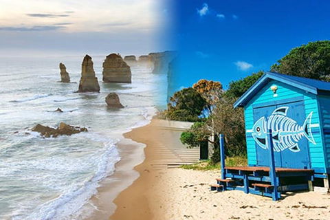 Melbourne Super Saver: Great Ocean Road + Mornington Peninsula + Attraction Pass - Accommodation Tasmania 2