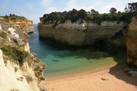 Melbourne Super Saver: Great Ocean Road + Mornington Peninsula + Attraction Pass - Accommodation Tasmania 3
