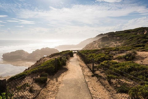Melbourne Super Saver: Great Ocean Road + Mornington Peninsula + Attraction Pass - Accommodation Tasmania 4