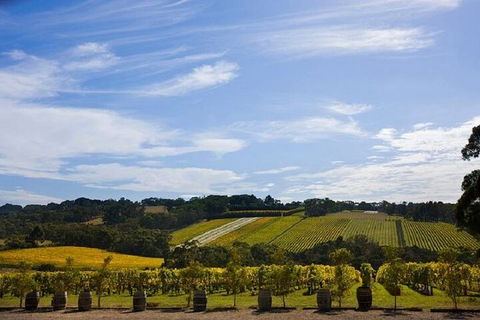 Melbourne Super Saver: Great Ocean Road + Mornington Peninsula + Attraction Pass - Accommodation Tasmania 5