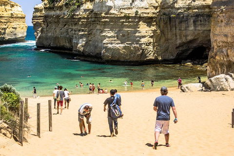 Small-Group Great Ocean Road Classic Day Tour From Melbourne - Accommodation Tasmania 5