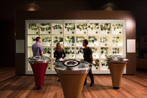 Australian Wine Discovery Tour Ticket - Accommodation Tasmania 3
