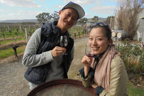 Swan Valley River Cruise And Wine Tasting Day Trip From Perth - Accommodation Tasmania 0