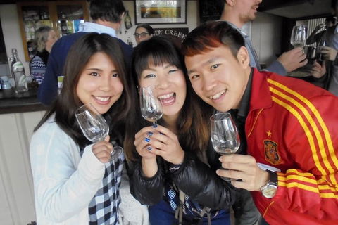 Wine Tasting Day Trip And Swan Valley River Cruise To Perth - Accommodation Tasmania 3