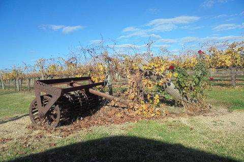 Swan Valley Tour From Perth: Wine, Beer And Chocolate Tastings - Accommodation Tasmania 3