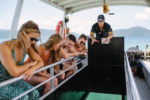 Fitzroy Island Day Trip From Cairns - Accommodation Tasmania 4