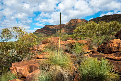 6-Day Eyre Peninsula & Flinders Ranges Adventure Tour - Accommodation Tasmania 1