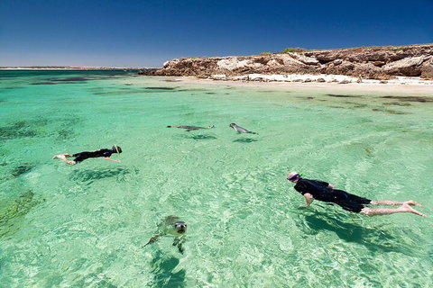 10 Day Adelaide To Perth Private Tour - The Great Australian Wilderness Journey - Accommodation Tasmania 1