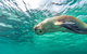 10 Day Adelaide To Perth Private Tour - The Great Australian Wilderness Journey - thumb 2