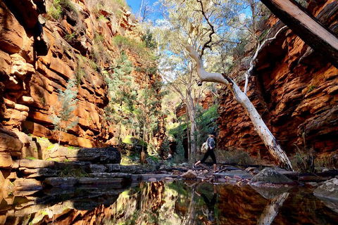 10-Day Adelaide To Perth Adventure Tour - Accommodation Tasmania 5