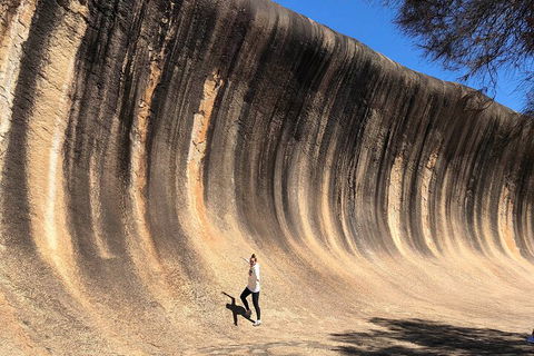 6 Day Esperance & Margaret River Adventure Tour - Accommodation Tasmania 4