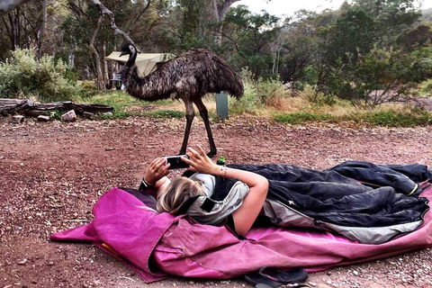6 Day Esperance & Margaret River Adventure Tour - Accommodation Tasmania 5
