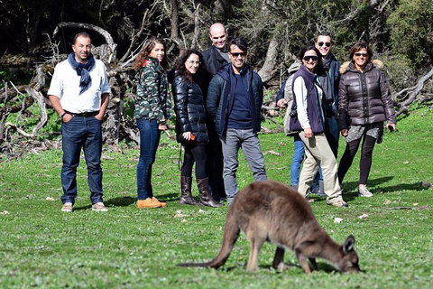 2-Day Kangaroo Island 4WD Small-Group Tour From Adelaide - Accommodation Tasmania 1