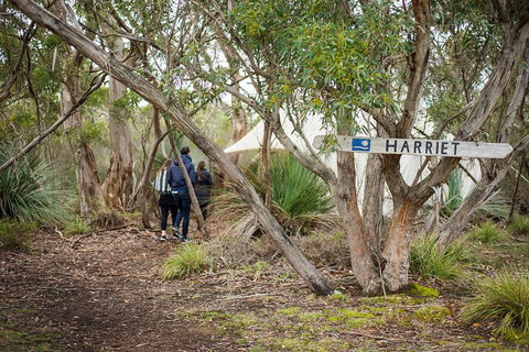 2-Day Kangaroo Island 4WD Small-Group Tour From Adelaide - Accommodation Tasmania 5