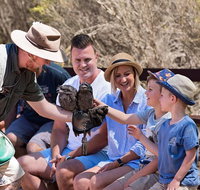 2 day Ultimate Kangaroo Island with return ferry - Accommodation Tasmania