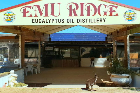 2 Day Ultimate Kangaroo Island With Return Ferry - Accommodation Tasmania 3
