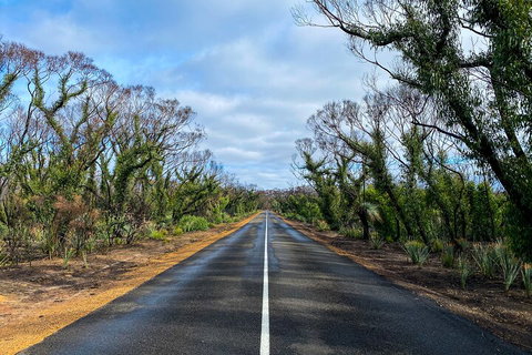 2 Day Ultimate Kangaroo Island With Return Ferry - Accommodation Tasmania 4